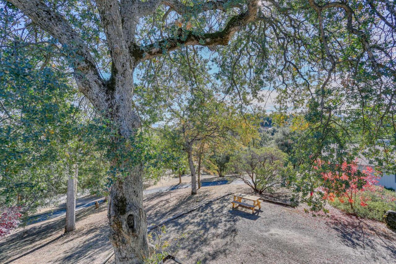 Cozy Studio With Well-Being Retreat Near Yosemite! อาห์วาห์นี ภายนอก รูปภาพ
